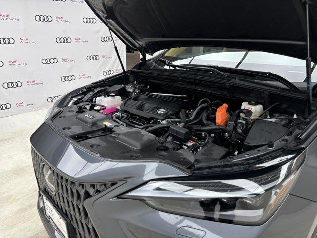 lexus NX 2024 - 10