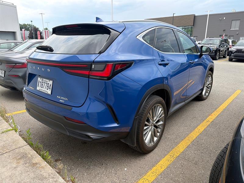 lexus NX 2024 - 2