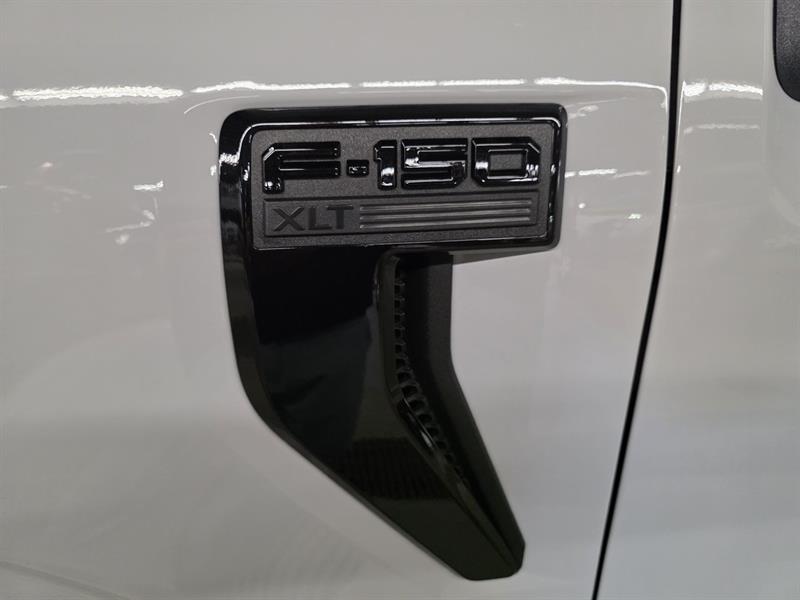 ford F-150 2024 - 14