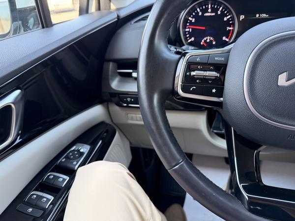 kia Carnival 2024 - 18