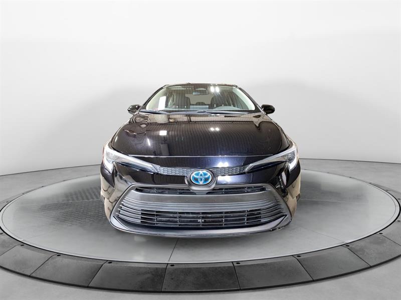 toyota Corolla 2023 - 2
