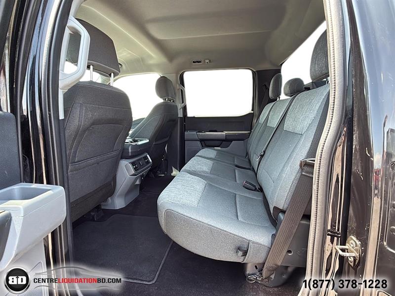 ford F-150 2021 - 14