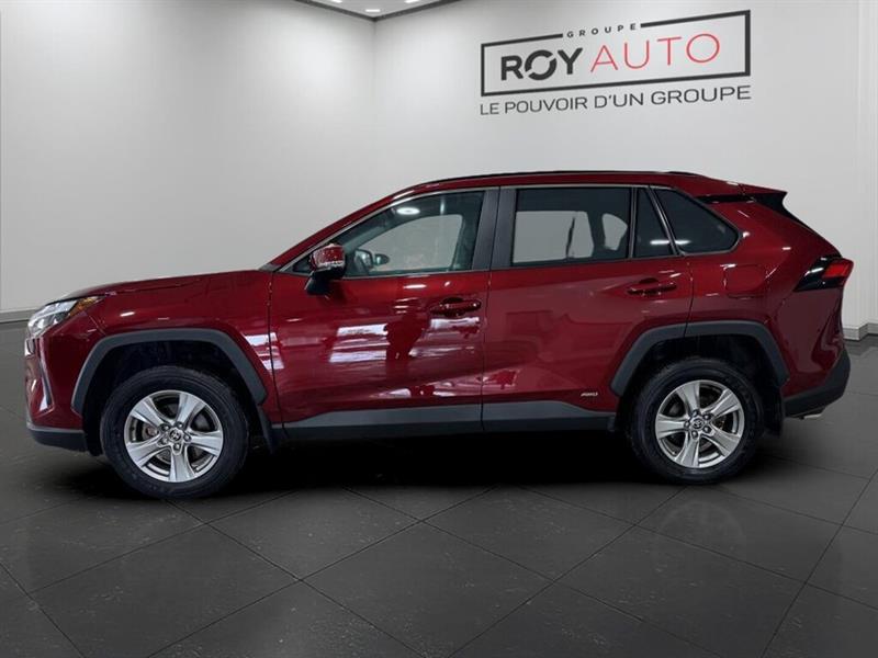 toyota RAV4 Hybrid 2024 - 6