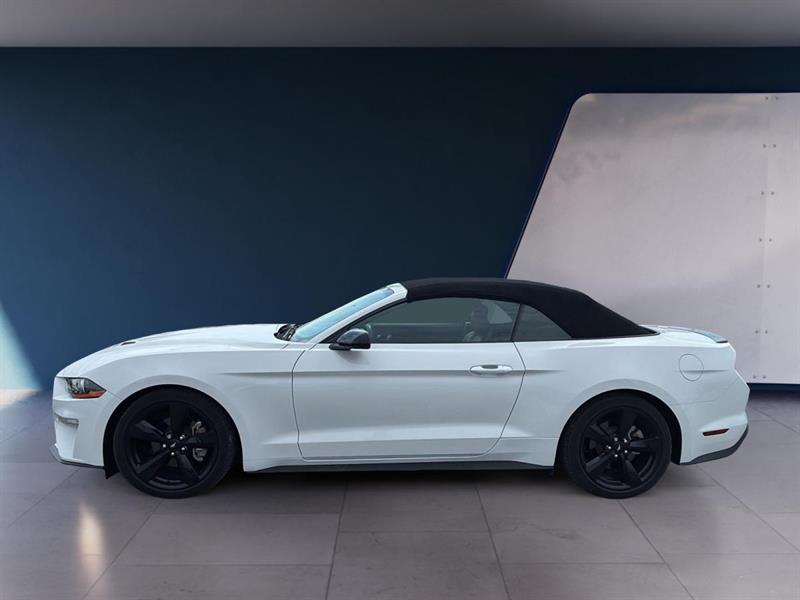 ford Mustang 2021 - 2