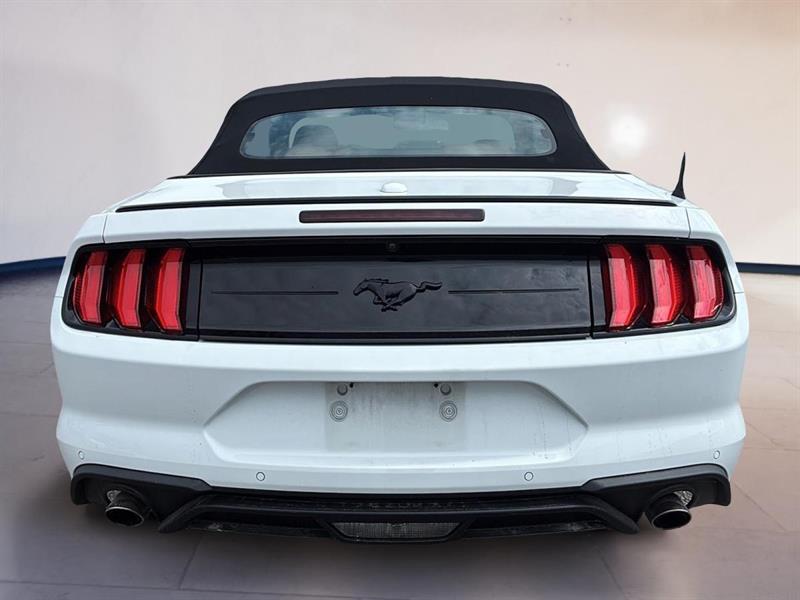 ford Mustang 2021 - 4