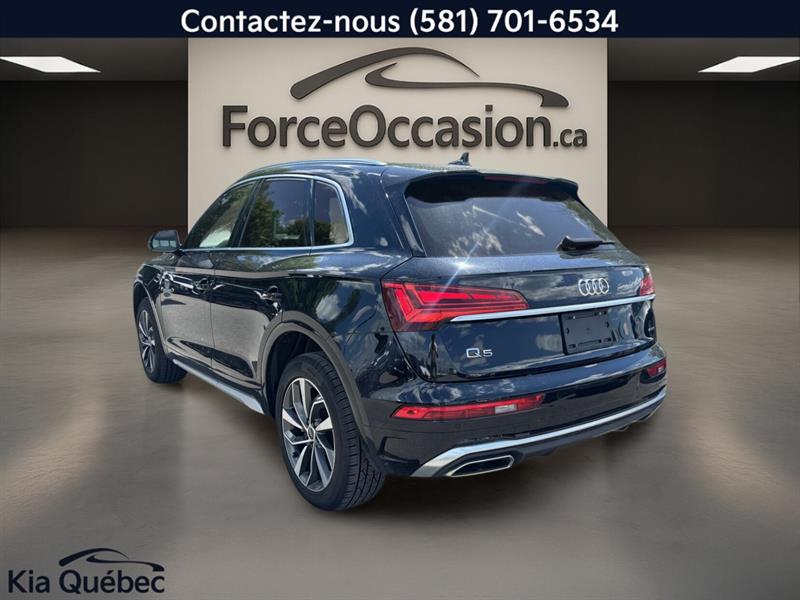 audi Q5 2023 - 2