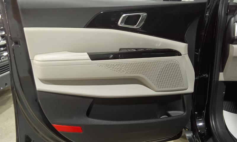 kia Carnival 2024 - 12