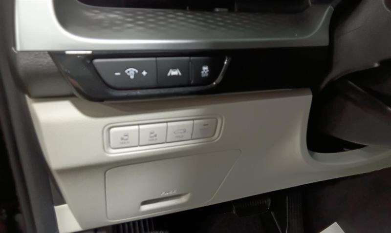 kia Carnival 2024 - 14