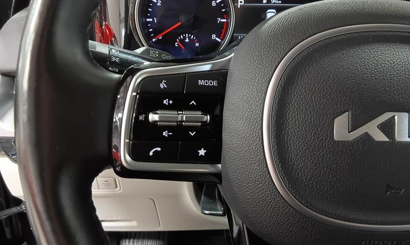 kia Carnival 2024 - 19