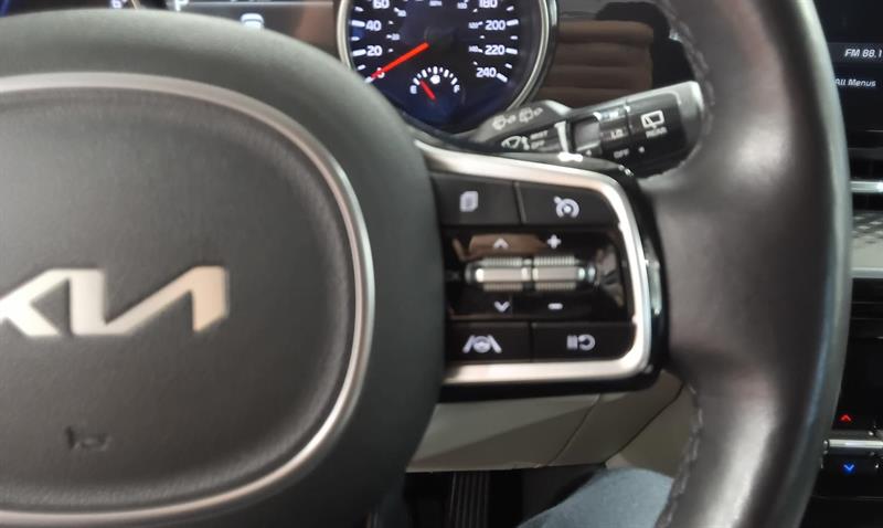 kia Carnival 2024 - 20