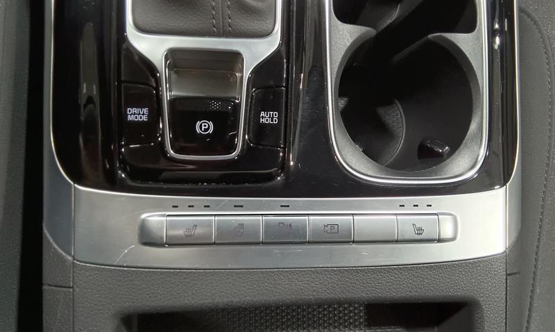 kia Carnival 2024 - 28