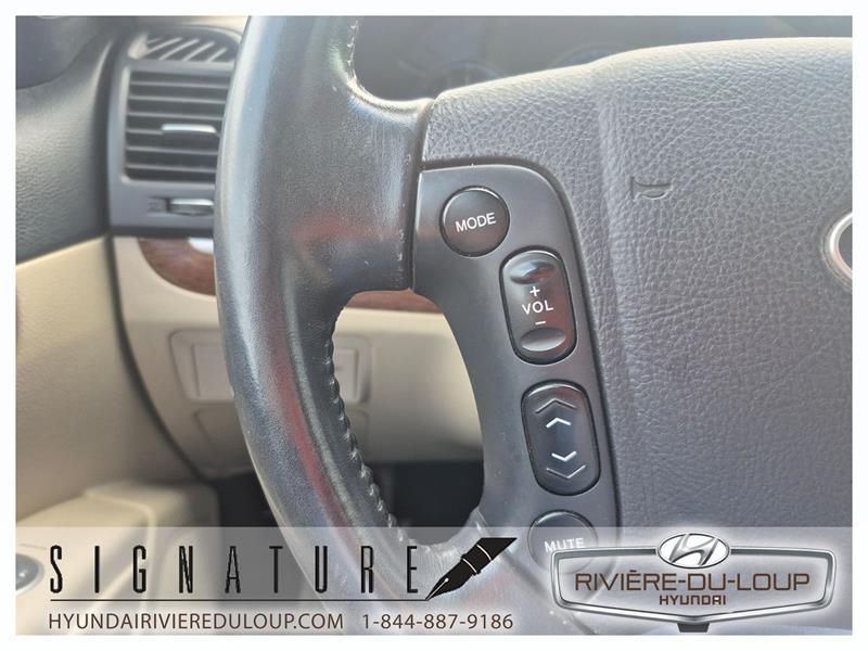 hyundai Santa Fe 2009 - 17