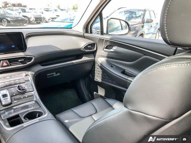 hyundai Santa Fe 2023 - 24