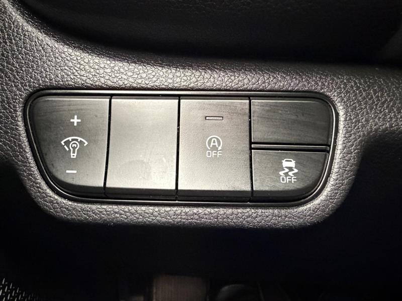 kia Seltos 2023 - 17