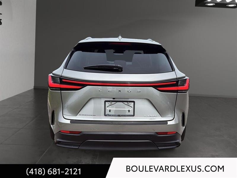 lexus NX 2023 - 5