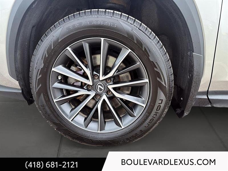 lexus NX 2023 - 7