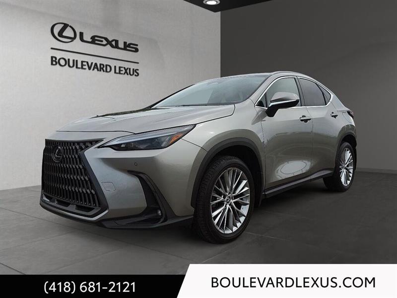 lexus NX 2024