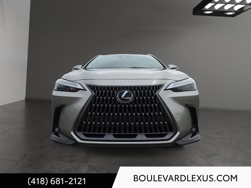 lexus NX 2024 - 2