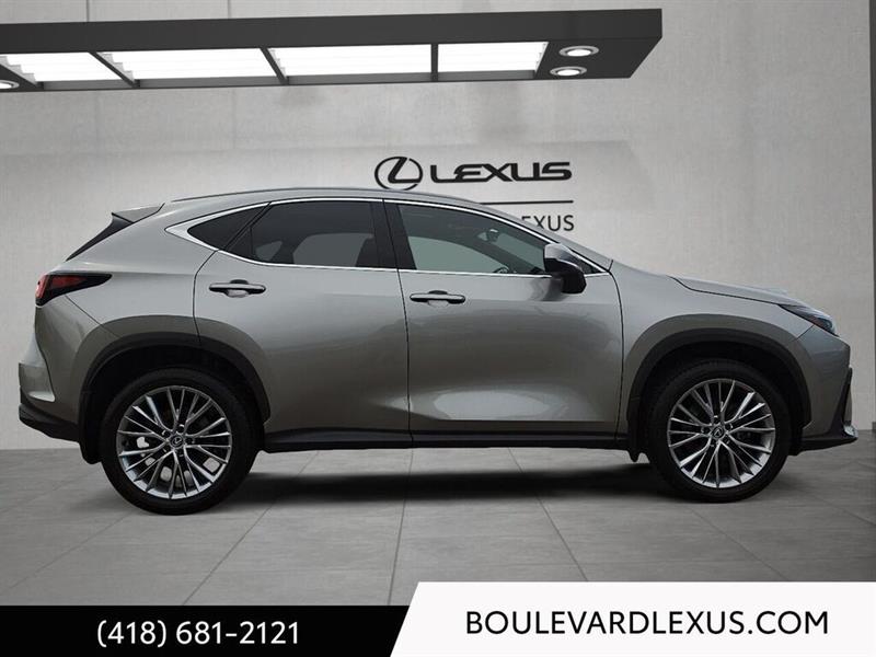 lexus NX 2024 - 3