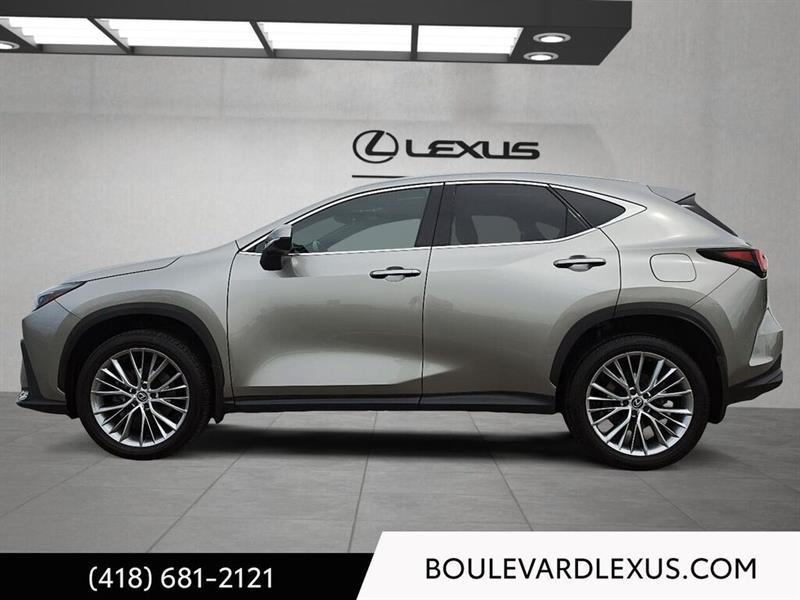 lexus NX 2024 - 6