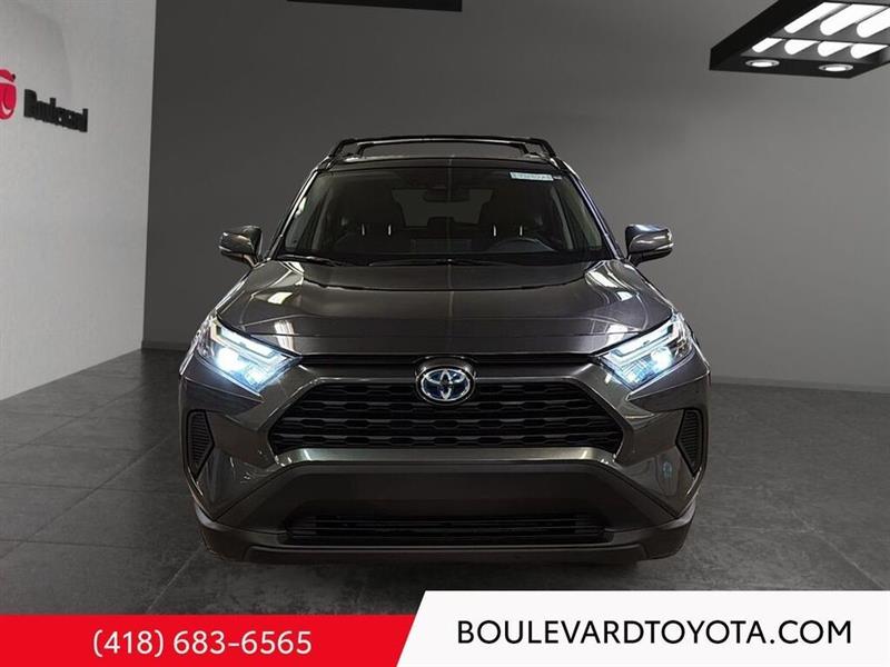 toyota RAV4 2023 - 2