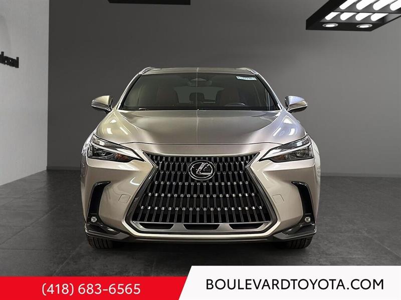 lexus NX 2024 - 2