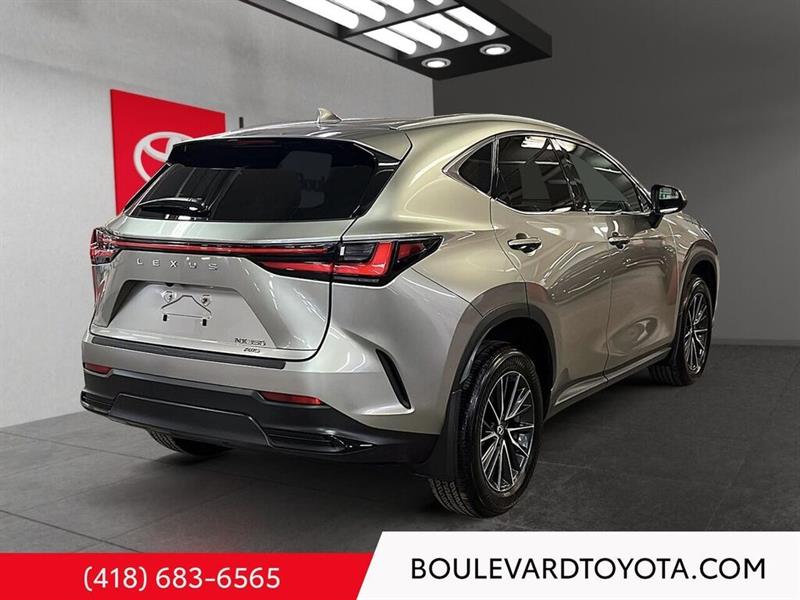 lexus NX 2024 - 4