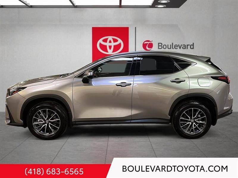 lexus NX 2024 - 6