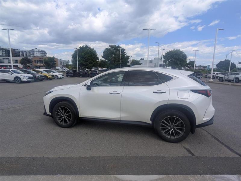 lexus NX 450h+ 2024 - 4