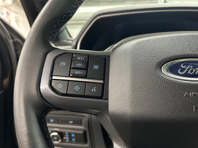 ford F-150 2023 - 11