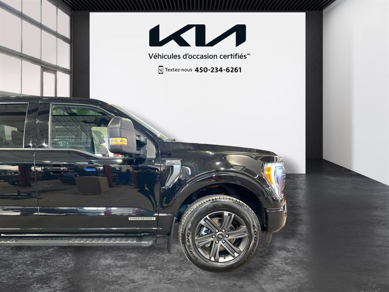 ford F-150 2023 - 24