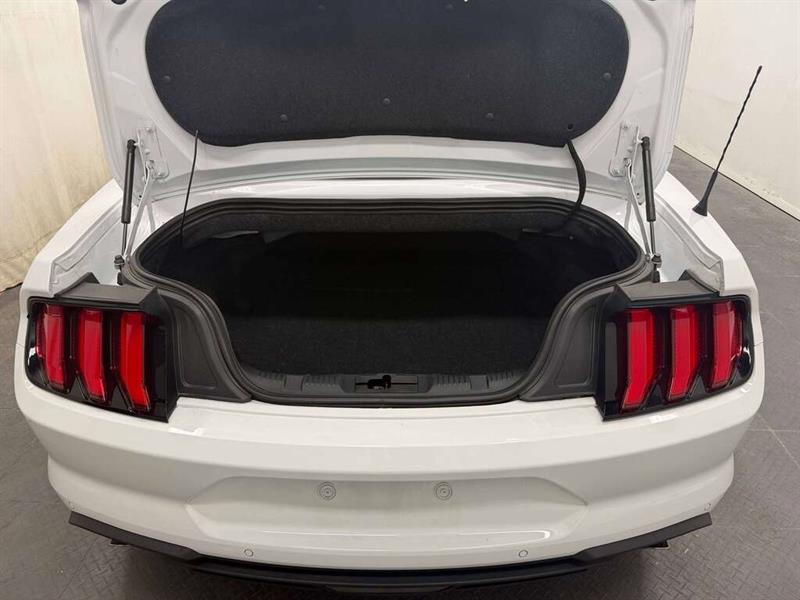 ford Mustang 2022 - 10
