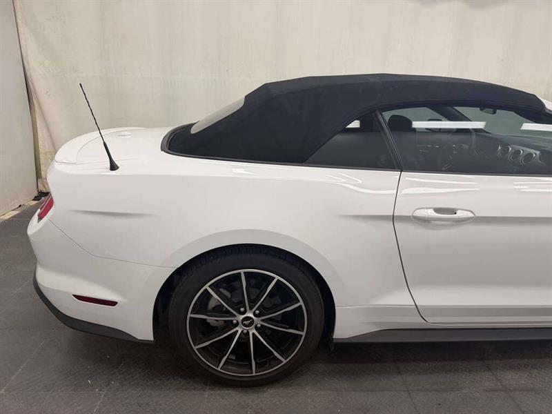 ford Mustang 2022 - 14