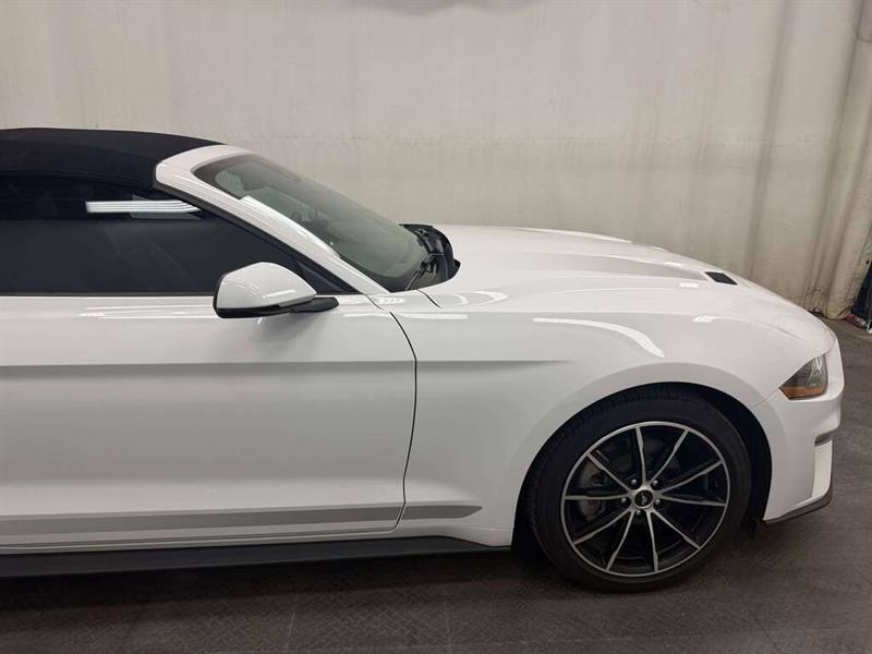 ford Mustang 2022 - 16