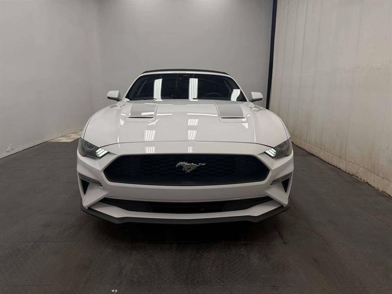 ford Mustang 2022 - 19