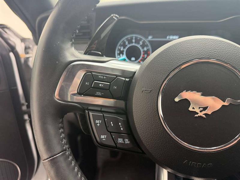 ford Mustang 2022 - 22
