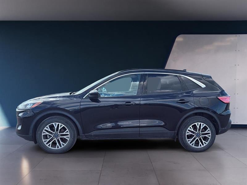 ford Escape 2020 - 2