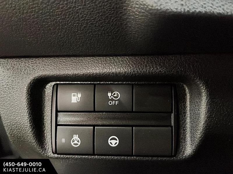 nissan LEAF 2020 - 19