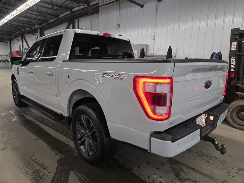 ford F-150 2023 - 10
