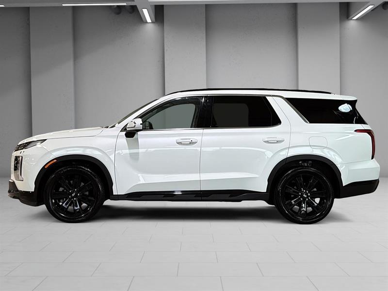 hyundai Palisade 2024 - 9