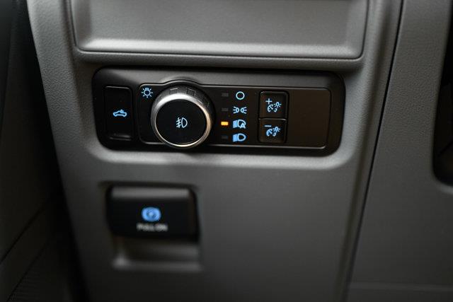 ford F-150 2024 - 19