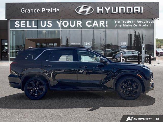 hyundai Palisade 2024 - 6