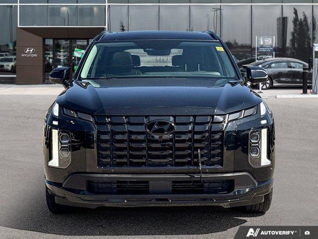 hyundai Palisade 2024 - 8