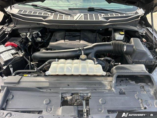 ford F-150 2023 - 13