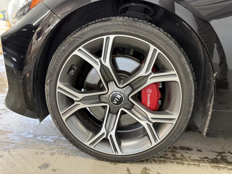 kia Stinger 2019 - 6