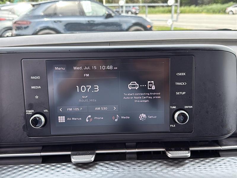 kia Carnival 2024 - 15