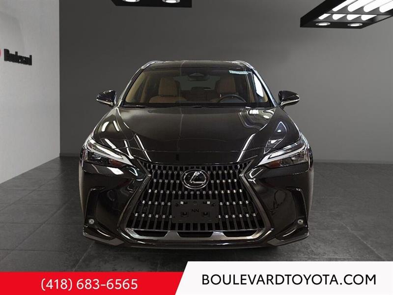 lexus NX 2024 - 2