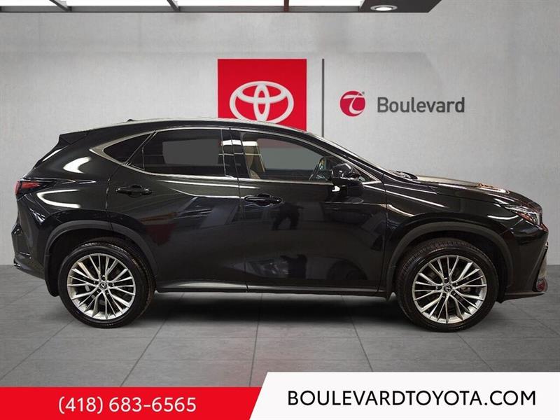 lexus NX 2024 - 3