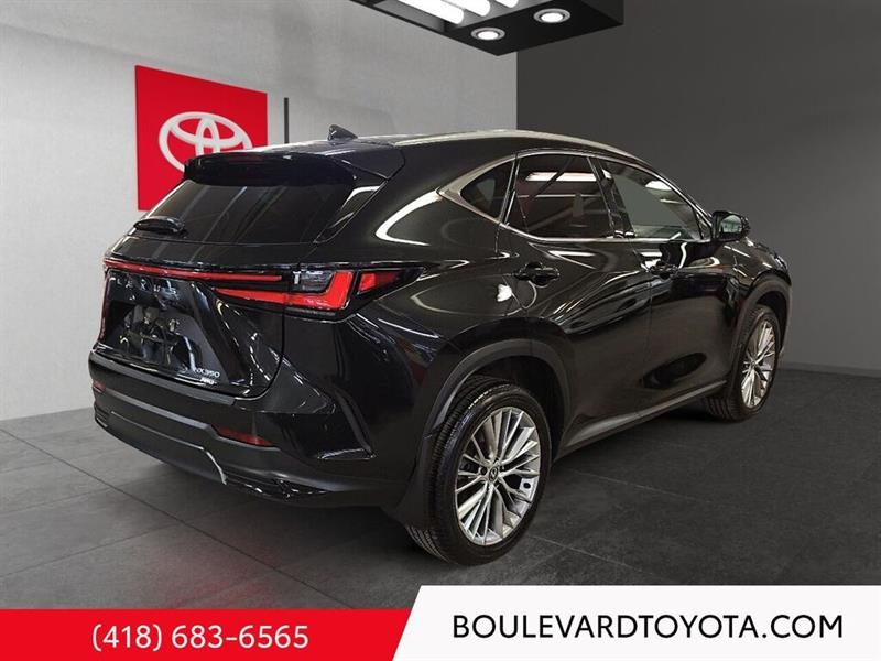 lexus NX 2024 - 4