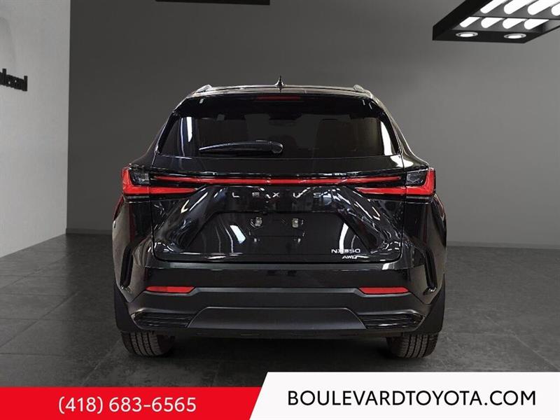 lexus NX 2024 - 5